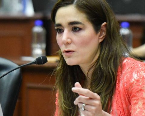 INE begins procedure against counselors for postponing revocation consultation