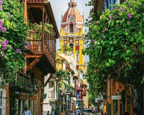 If you have not visited this sector of Cartagena, it is lost from many natural jewels