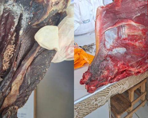 In Jauja markets they find meat with worms