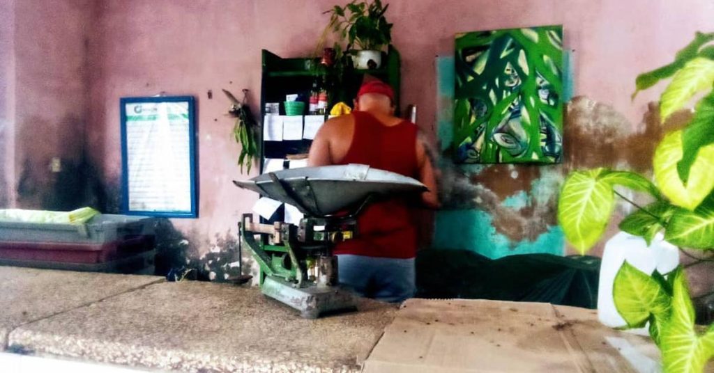 In the La Real winery, in Matanzas, there are only 200 pesos in the box and no product for sale