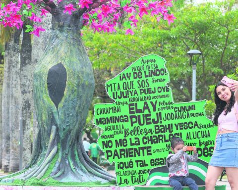 In the civic month the enthusiasm and the spirit of struggle of the crosses
