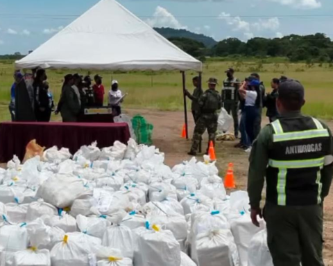 Incinerated 2.9 tons of drugs in Amazonas