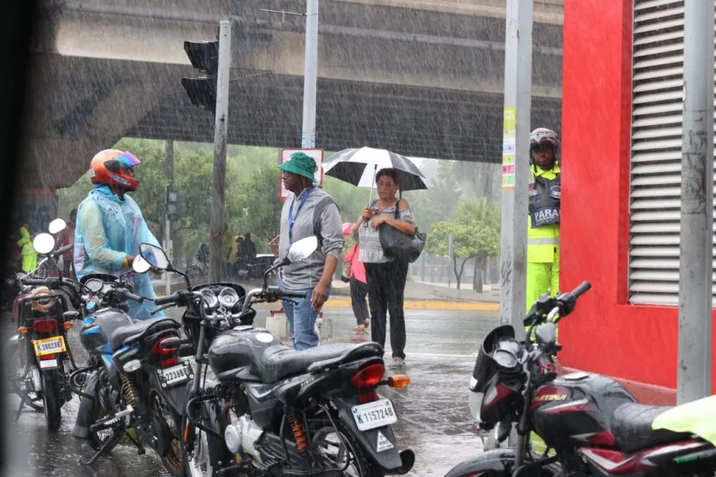 Infectologist warns about leptospirosis and other diseases after floods