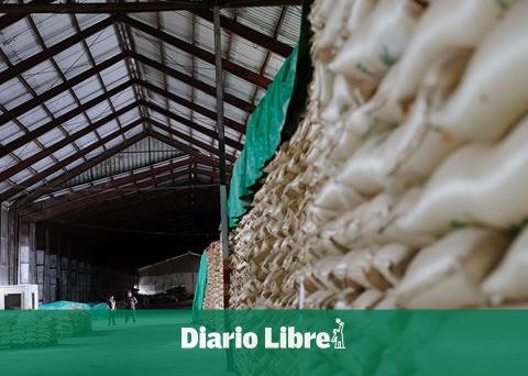 Ingenio Porvenir replaces Haitian labor with harvesters