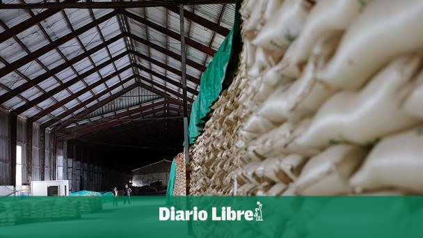 Ingenio Porvenir replaces Haitian labor with harvesters