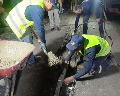 Integral recovery of distributors continues La Gaviota y Longaray de Caracas