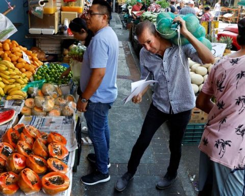 Investment collapses in June, but private consumption rebounds: inegi