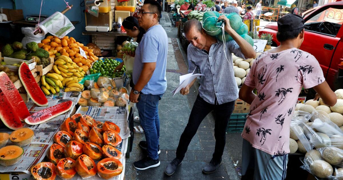 Investment collapses in June, but private consumption rebounds: inegi