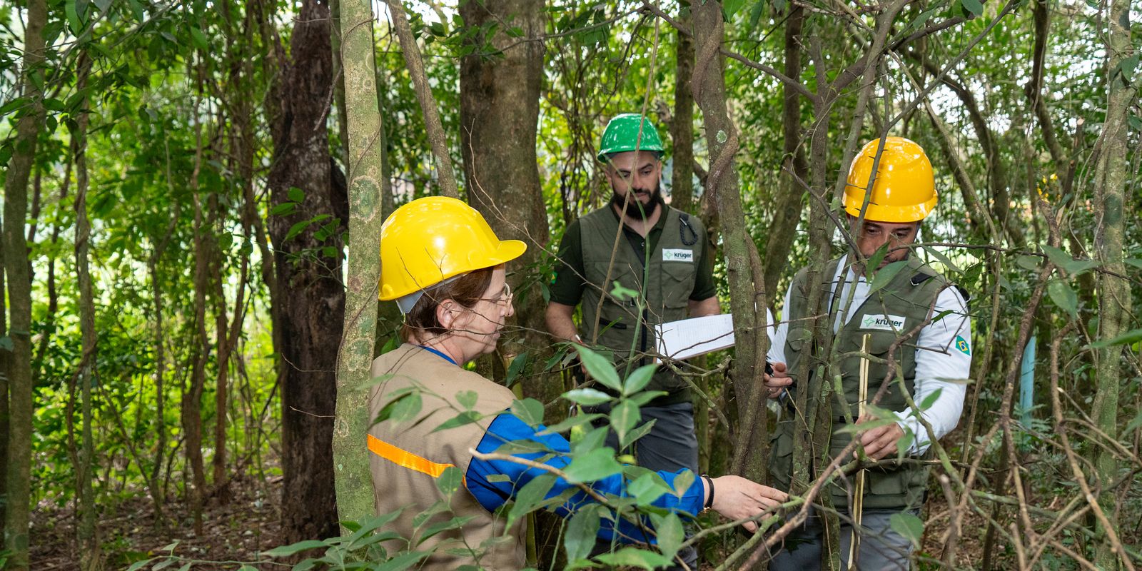 Itaipu triple forest diversity around the reservoir