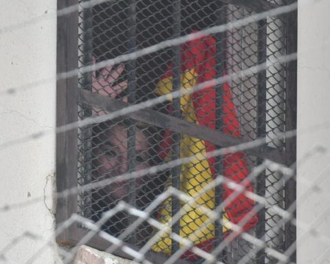 Judge orders "immediate freedom" from Áñez for the case, but will continue in jail