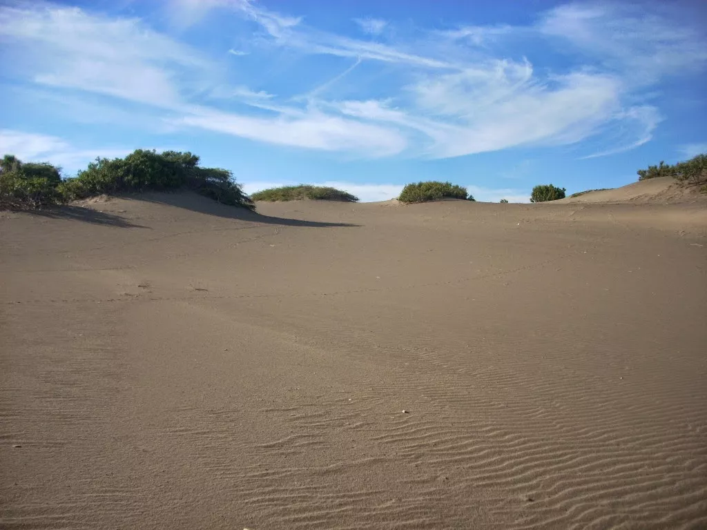 Julito Fulcar: "Baní's dunes are untouchable"