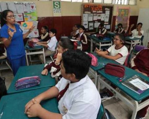 Junín: College of Psychologists warns critical deficit of professionals in schools