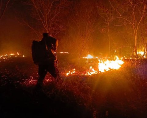 Justice orders immediate fire attention and transparency in the use of resources