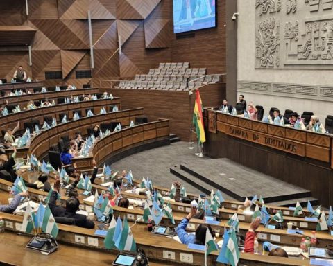 Licage: 619 bills sleep in deputies, 88% of their last legislature