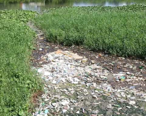 Life on the edge of the Isabela River: a portrait of pollution and resistance