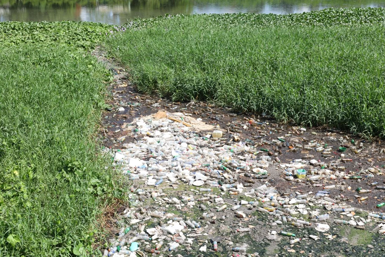 Life on the edge of the Isabela River: a portrait of pollution and resistance