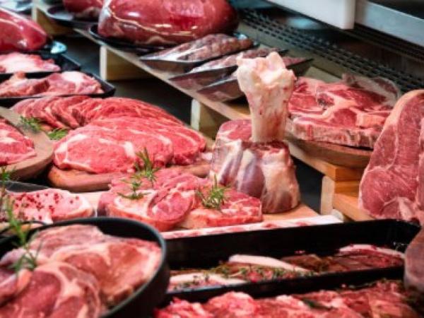 Livestock exports reached US $ 216.2 million in the first semester