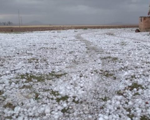 Low temperatures affect municipalities of Potosí and Chuquisaca