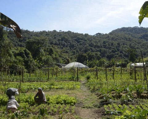 Lula authorizes use of R $ 12 billion for rural debt renegotiation