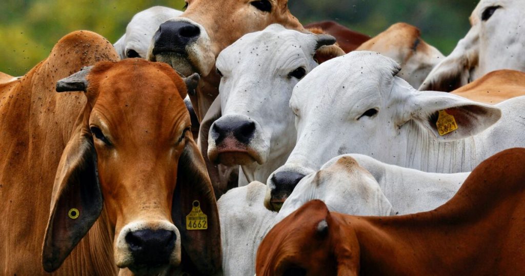 Mexico says a bullial worm about border with EU is contained