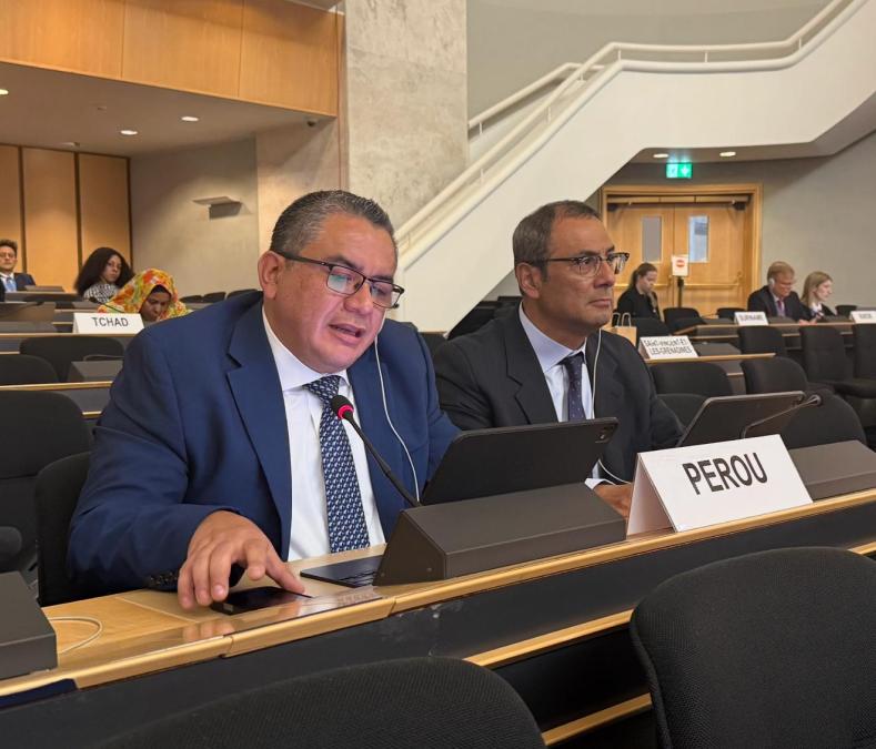 Minister Santiváñez defends Amnesty Law at the UN