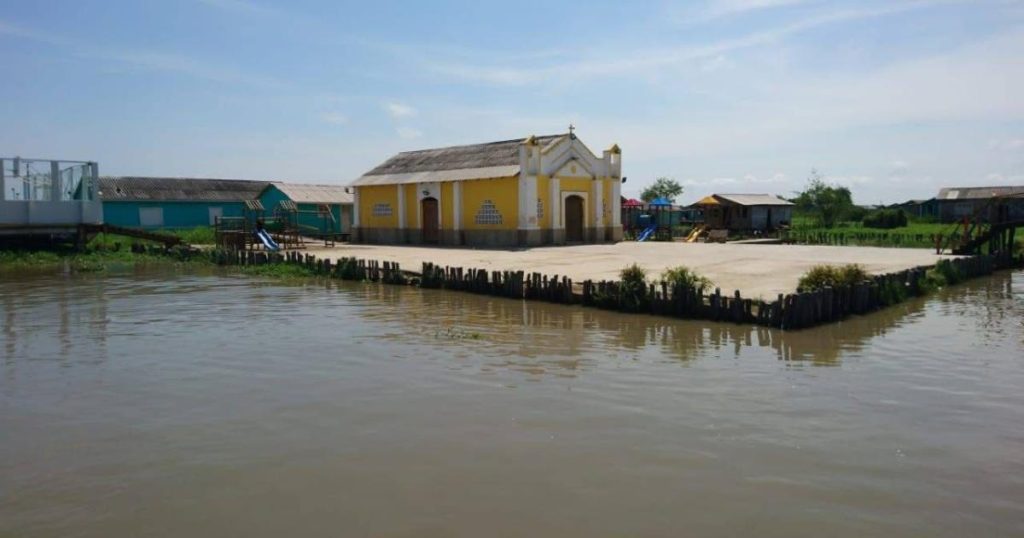 Ministry of Environment reinforces measures against the expansion of the invading algae in the large swamp