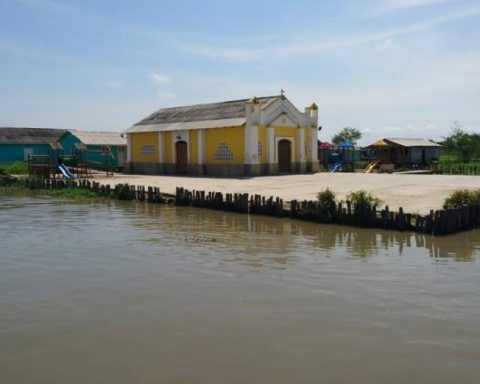 Ministry of Environment reinforces measures against the expansion of the invading algae in the large swamp