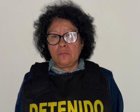 Mother of "The Monster" could meet house arrest in Ica