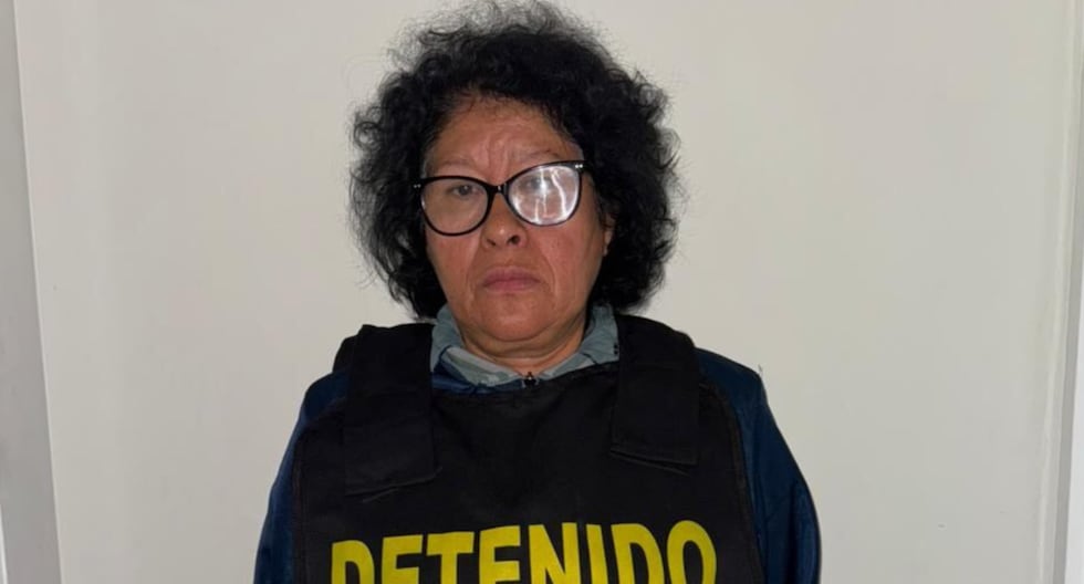 Mother of "The Monster" could meet house arrest in Ica