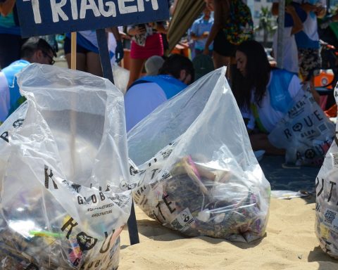 Mutirão mark the passage of World Cleaning Day