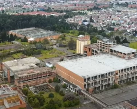 Antigua fábrica de Bavaria en Bogotá: la historia detrás de sus ruinas y el bosque secreto que la rodea