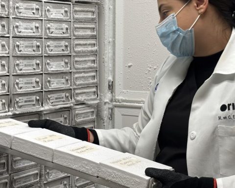 Origin collected 100,000 Mexican DNA samples to study disease