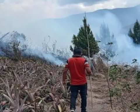 Pasco: forest fire causes the death of an older adult and sweeps pastizals