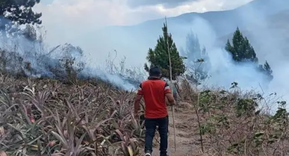 Pasco: forest fire causes the death of an older adult and sweeps pastizals