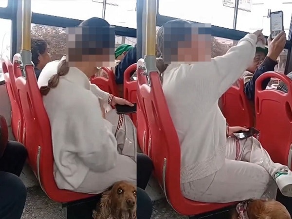 Pasajera se quejó de usuarios por presencia de su perro.