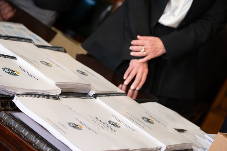 Perrachón: Budget analysis, FA program and productive development