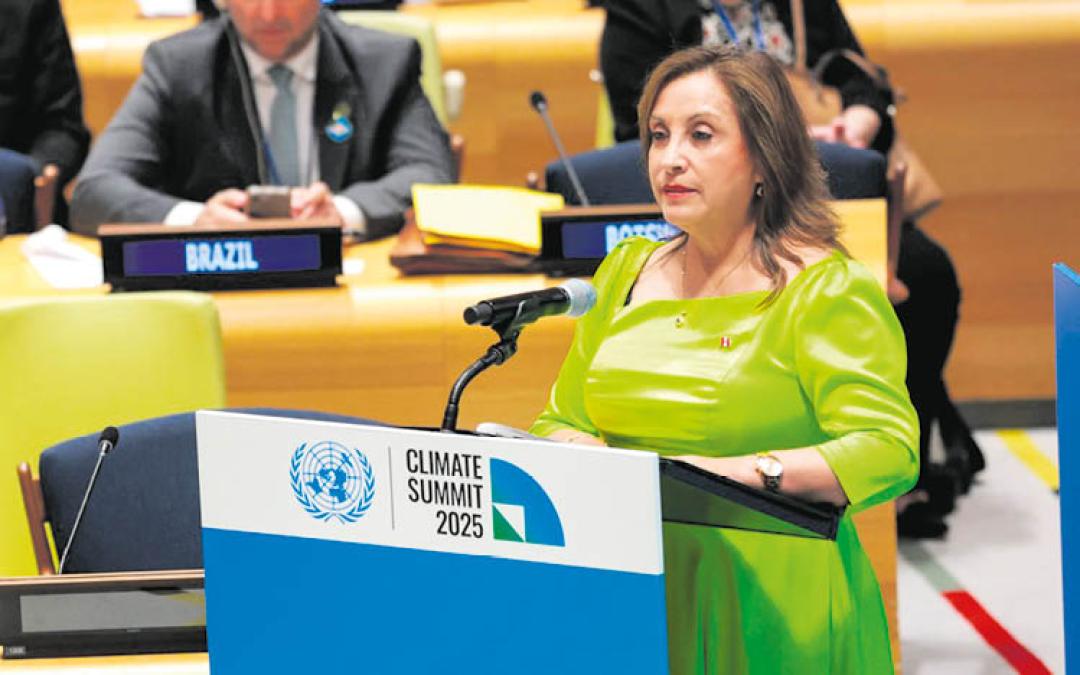 Peruvian diplomats reject tino of President Boluarte