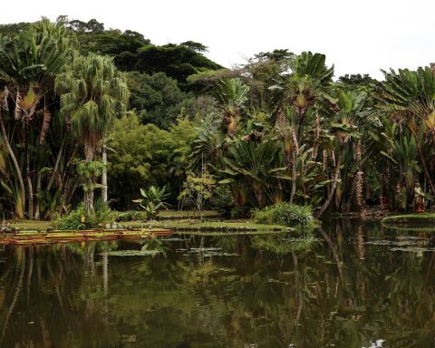 Photography Contest Integrates Programming World Cleaning Day