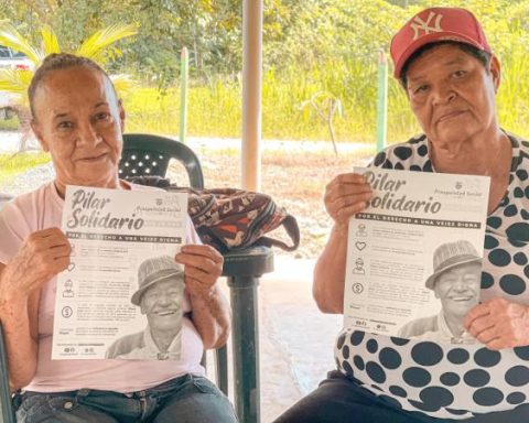 Pilar Solidario: The four reasons why I could not receive the benefit