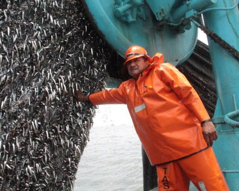 Populism in Congress: New proposals would subtract S/30 million from fishing workers