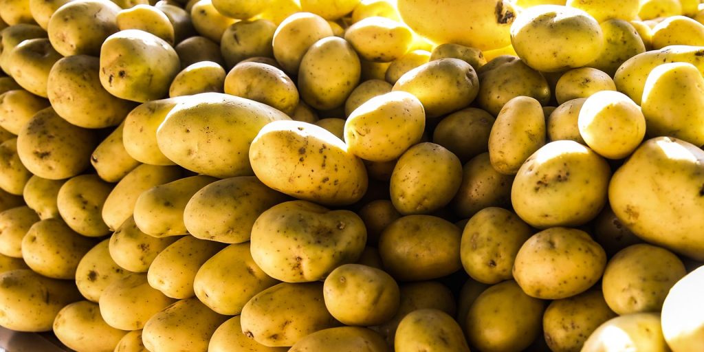 Potatoes, eggs and vegetables reduce inflationary pressure in August in SP