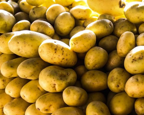 Potatoes, eggs and vegetables reduce inflationary pressure in August in SP
