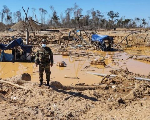 President of the SNMPE warns of the influence of illegal miners in elections