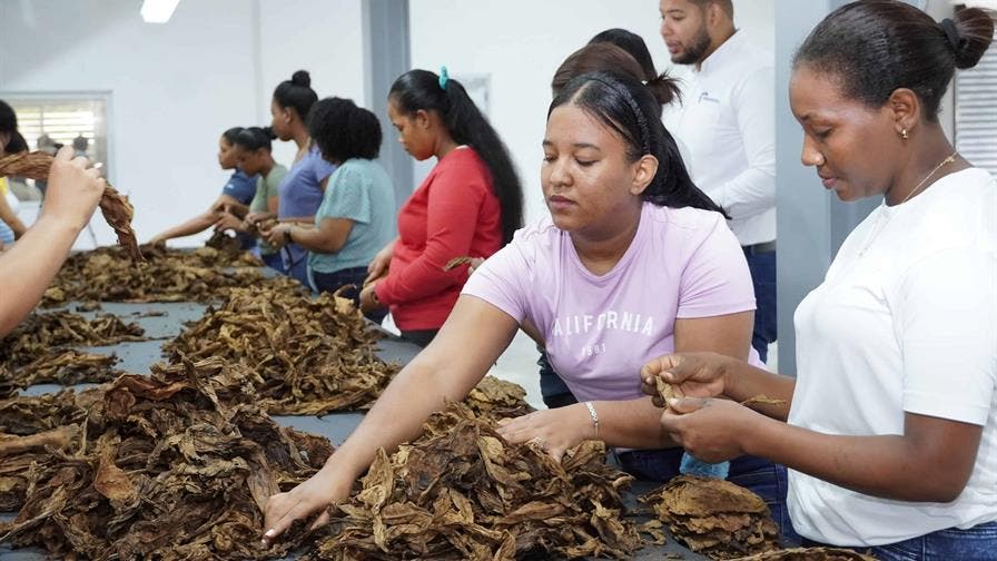 Proindustria genera más de 2,600 empleos