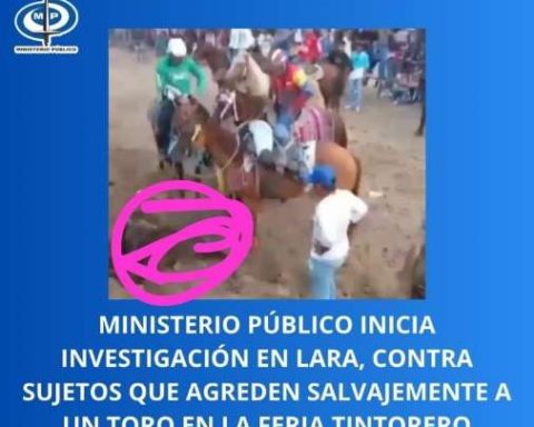 Prosecutor investigates case of animal abuse at Tintorero fairs