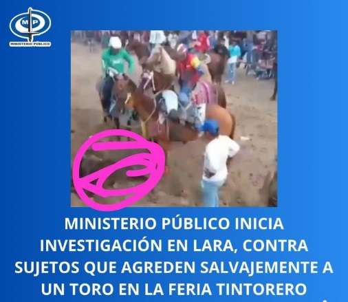 Prosecutor investigates case of animal abuse at Tintorero fairs