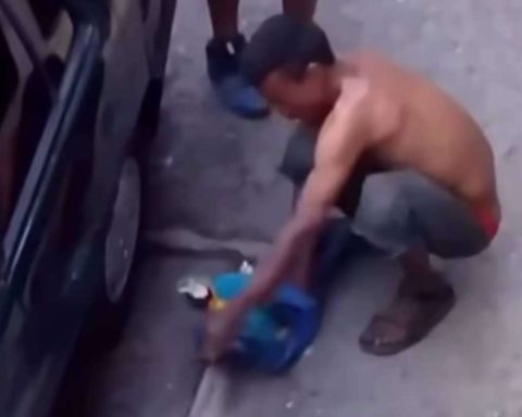 Prosecutor orders investigation for alleged marketing of Guacamayas