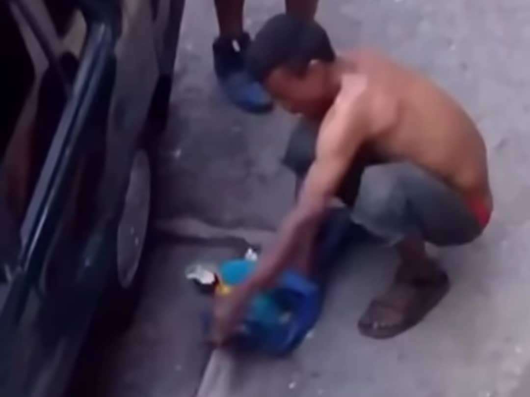 Prosecutor orders investigation for alleged marketing of Guacamayas