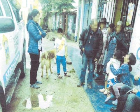 Prosecutor's Office leads to the driver and terramozo for discriminating against Quechua-speaking old man