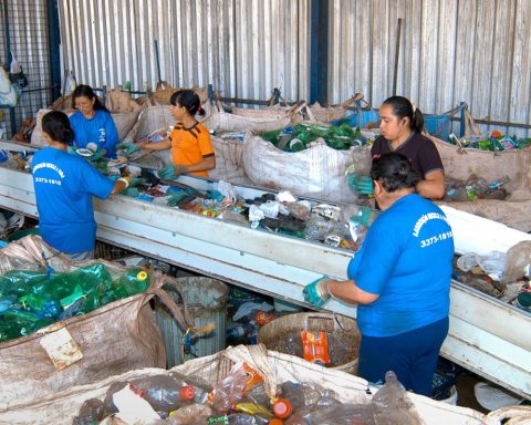 Recycled Plastic Production in Brazil grew 8% by 2024